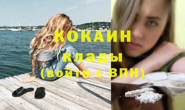 молекула духа Медвежьегорск