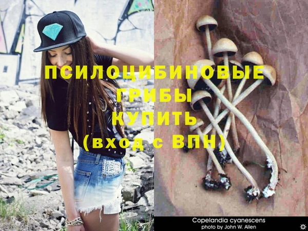 спайс Магас