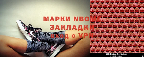 молекула духа Медвежьегорск