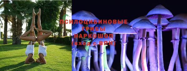спайс Магас