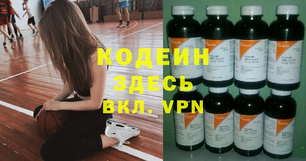 молекула духа Медвежьегорск