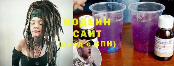 молекула духа Медвежьегорск