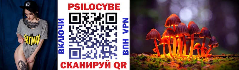 Галлюциногенные грибы Psilocybine cubensis  Суджа 