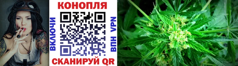 Шишки марихуана Amnesia Суджа