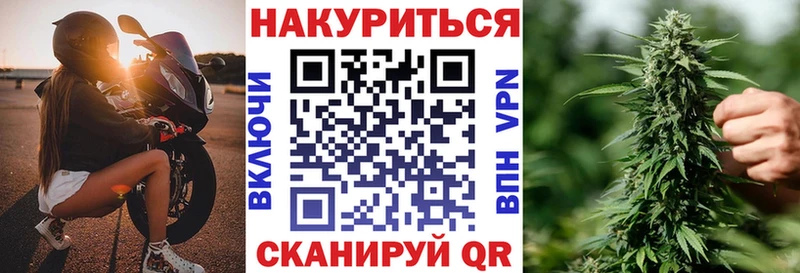 Каннабис планчик  купить наркоту  Суджа 